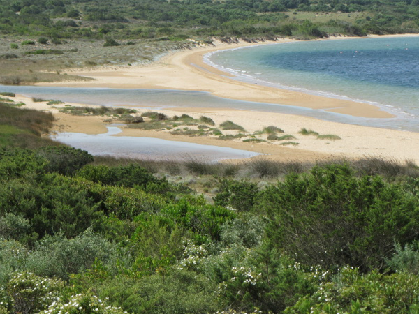 Viaggio Verozona Di Palau Come Raggiungere Le Spiagge Più Belle